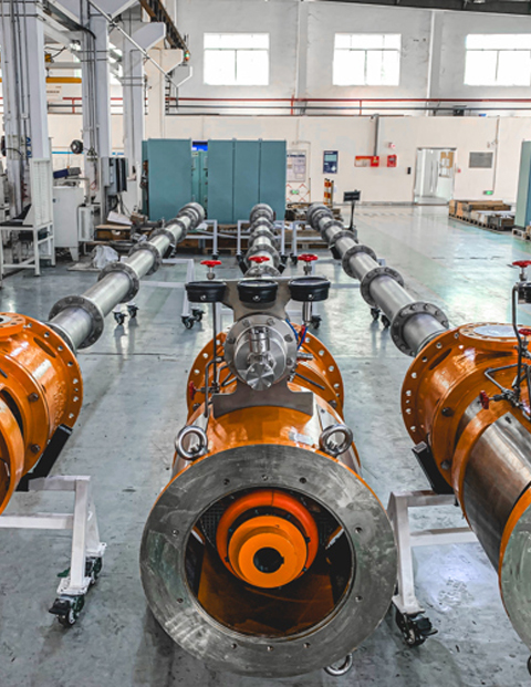 Cargo Pumps